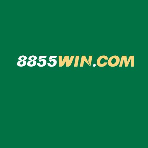 Logo da 8855WIN